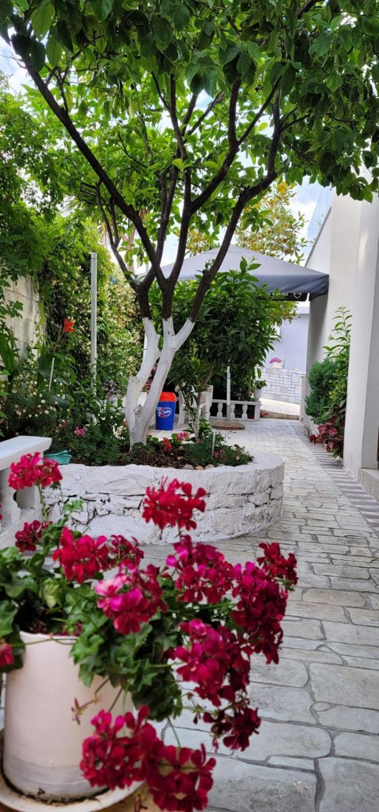 Vila Ori Εξαμίλιο Δωμάτιο φωτογραφία